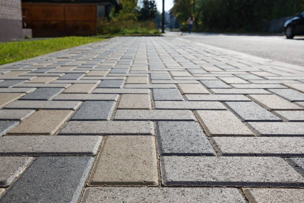 Best Driveway Repair Near Me  in Roswell, NM
