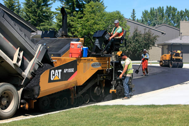 Best Residential Paver Driveway  in Roswell, NM